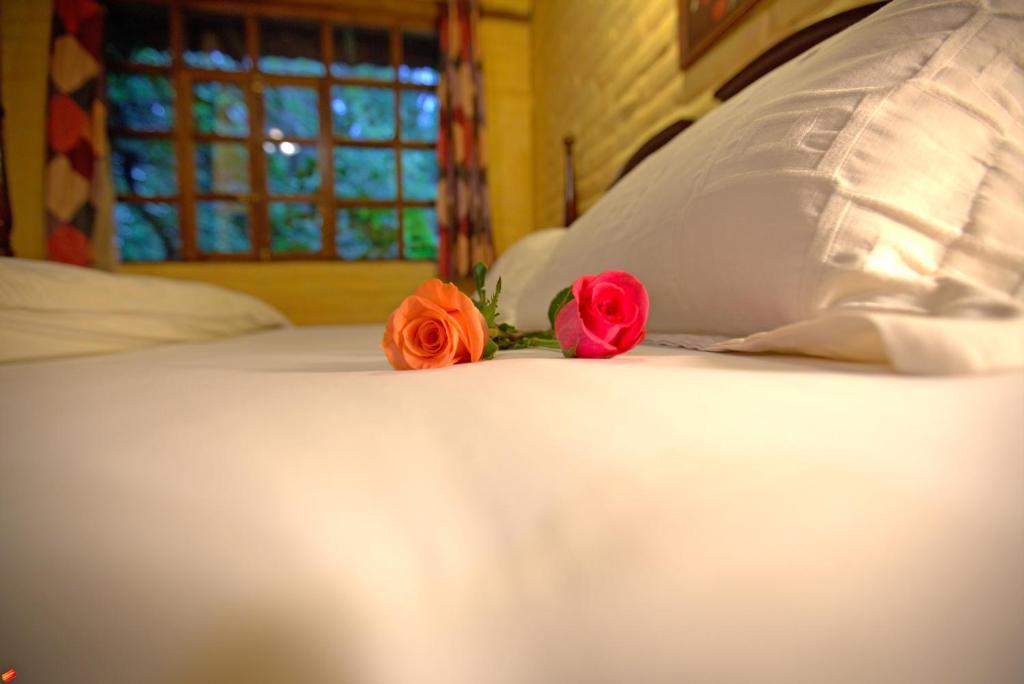 Hacienda La Carriona Hotel Sangolqui Ngoại thất bức ảnh
